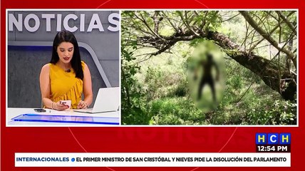 ¡Terrible! Colgado de un árbol hallan a hombre desaparecido en Lempira