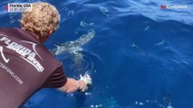 بدون تعليق: السياحة البيئية في فلوريدا تشمل زيارة معقل أسماك القرش
