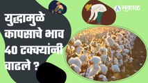 Russia Ukraine War: युद्धामुळे कापसाचे भाव ४० टक्क्यांनी वाढले ?