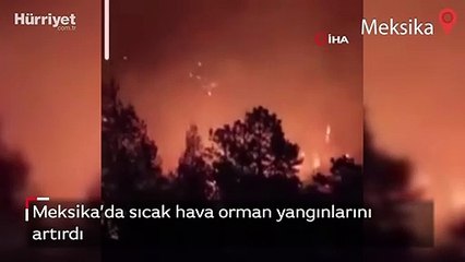 Meksika’da sıcak hava orman yangınlarını artırdı
