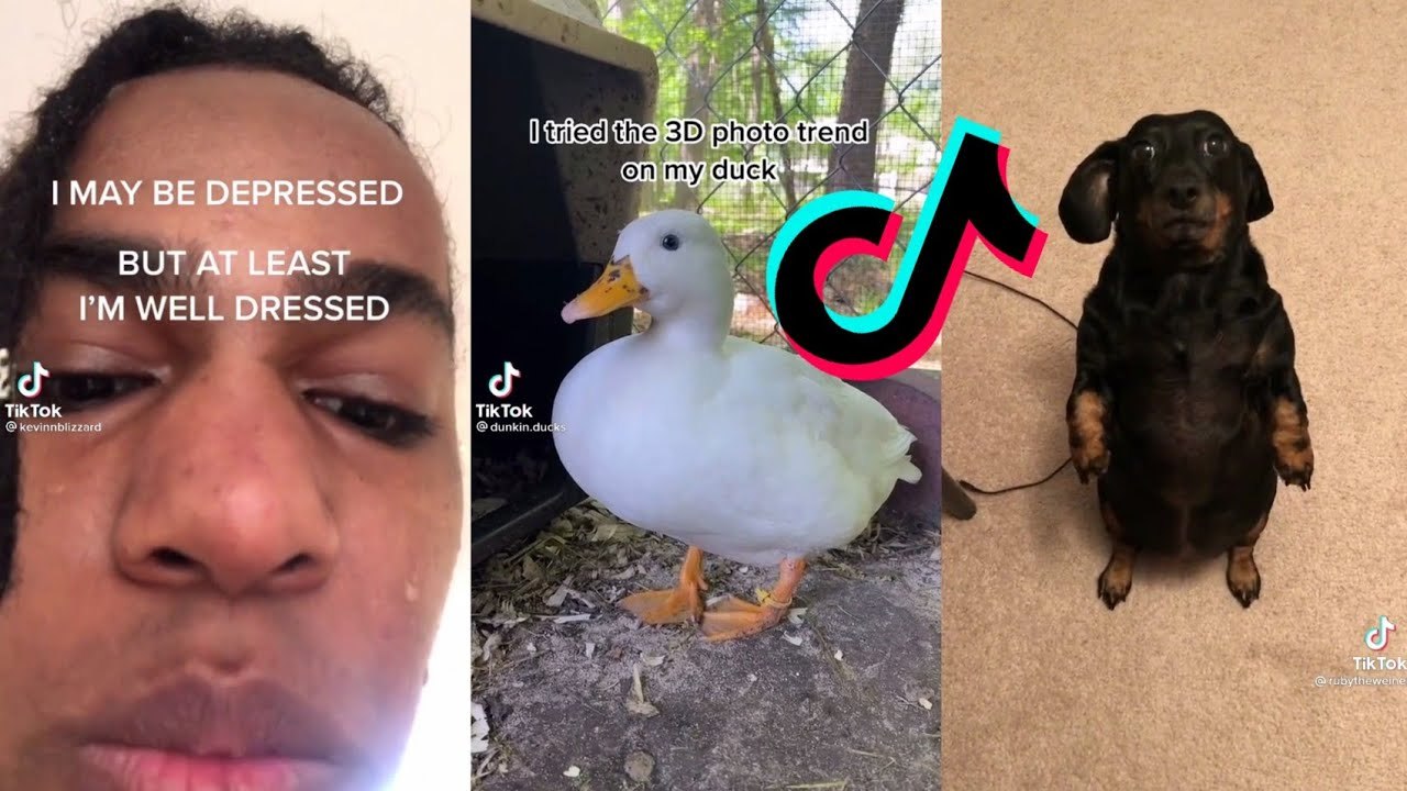 Funny TikToks For You Because You Get No Bitches