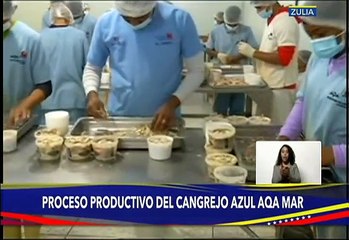 Zulia | AQA MAR avanza en la producción de cangrejo azul