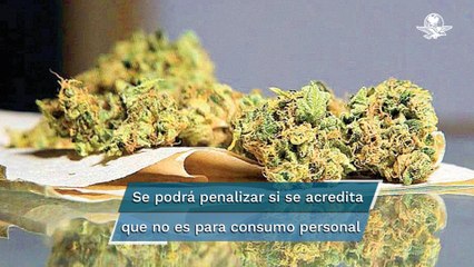Corte declara inconstitucional penalizar la posesión de más de 5 gramos de marihuana