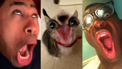 Funny TikToks to watch instead of sleeping (2)