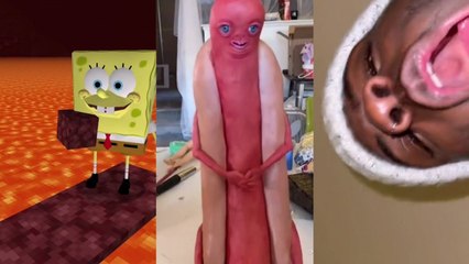 Funny TikTok Memes that are worth watching