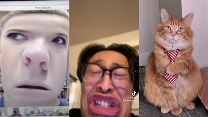 Funny TikToks To Watch If You Don't Have TikTok