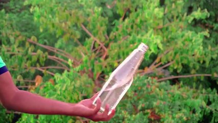 11 Easy Science Experiments To Do At Home By VisioNil