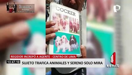 ¡Indignante!: Sujetos trafican animales a vista y paciencia de serenazgo de Lima