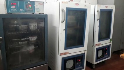 डॉ. तरणजीत सिंह मक्कड़ दूसरी बार चुने बैडमिंटन संघ के अध्यक्ष