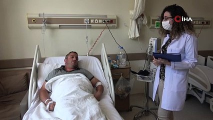 Ayıyı dize getirmişti, keneye yenildi