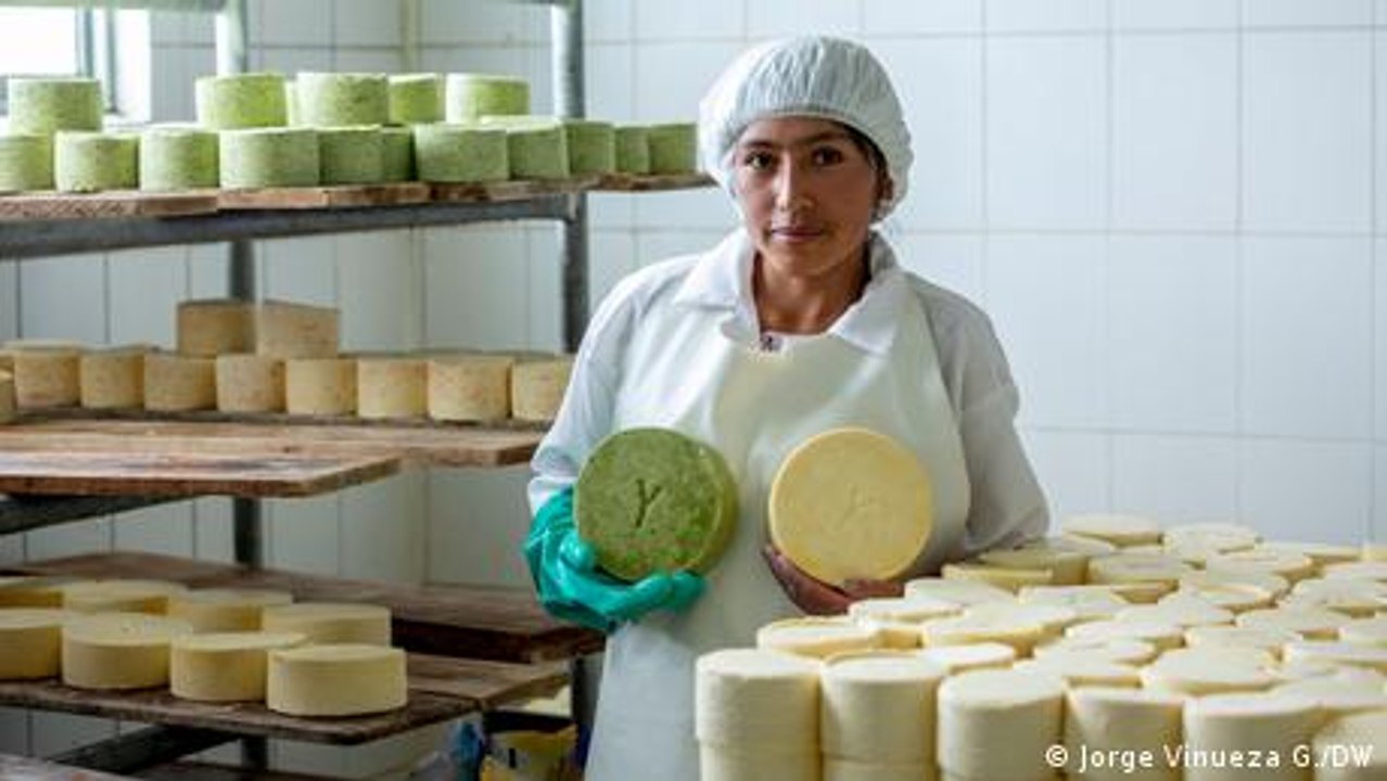 Ecuador y sus quesos andinos
