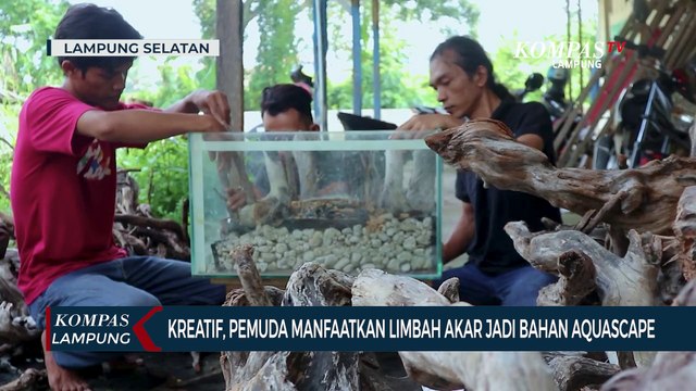 Kreatif, Pemuda Manfaatkan Limbah Akar Jadi Bahan Aquascape