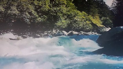 Prophetic Word- NOAH ENTER INTO ARK OF GODS PRESENCE AND BLESSINGS!!