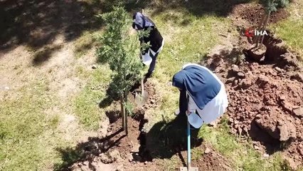 Pendik'te hemşireler "Koşuyolu Hatıra Ormanı"na 200 fidan dikti