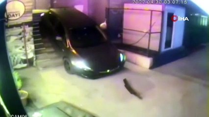 İstanbul'da şoke eden görüntüler! Otomobille merdivenden indi