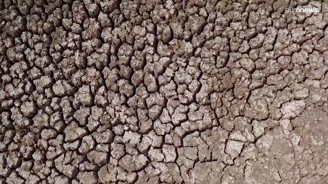 216 млн человек мигрируют из-за засухи