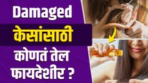 पांढरे केस तुम्ही पण तोडता का? | How to Get Rid Damaged Hair | White Hair to Black Hair Naturally