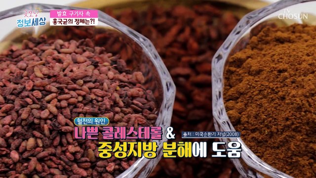 혈관 속 지방 배출 능력이 높은 『발효 구기자』 TV CHOSUN 220512 방송
