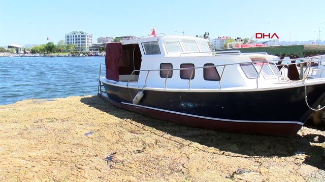 Büyükçekmece Gölü'nde yosun istilası: Korkutan açıklama geldi