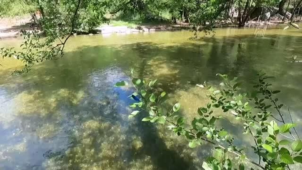 Isparta'da doğal yaşam