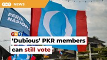 54,000 ‘dubious’ PKR members a ‘legacy’ issue, can still vote