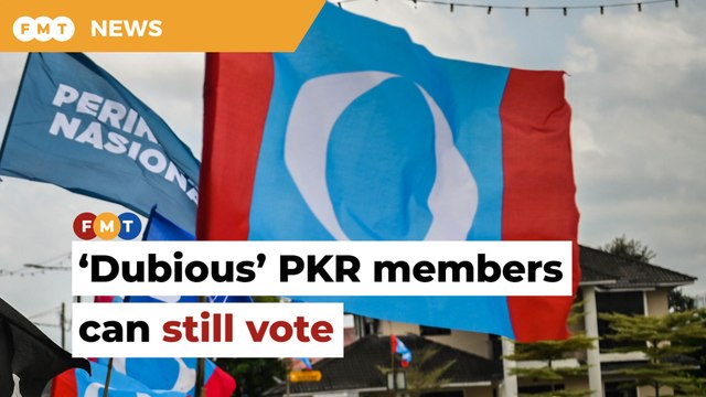 54,000 ‘dubious’ PKR members a ‘legacy’ issue, can still vote