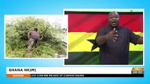 Overgrown Pavement Lawns in Ghana - Badwam Ghana Nkommo on Adom TV (12-5-22)