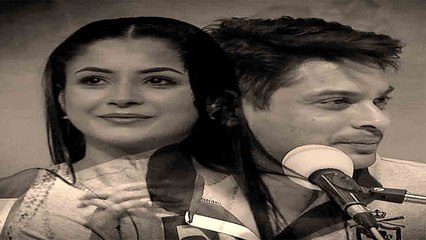 Shahnaz Gill और Siddharth का साथ में Video देख Fans हैरान, सिद्धार्थ की तरह करती दिखीं शहनाज़