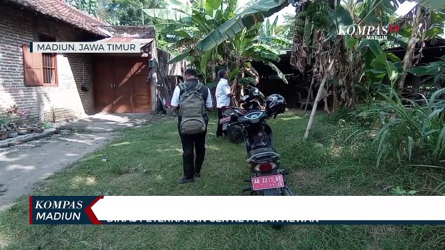 Cegah Penyakit Mulut Dan Kuku, Pemeriksaan Hewan Ternak Digalakkan