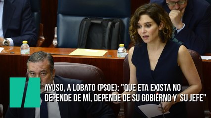 Ayuso, a Lobato (PSOE): "Que ETA exista no depende de mí, depende de su gobierno y de su jefe"