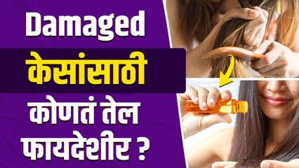 निर्जीव केसांपासून सुटका हवी? | How to Fix Damaged Hair | Damaged Hair Oil Treatment | Hair Care