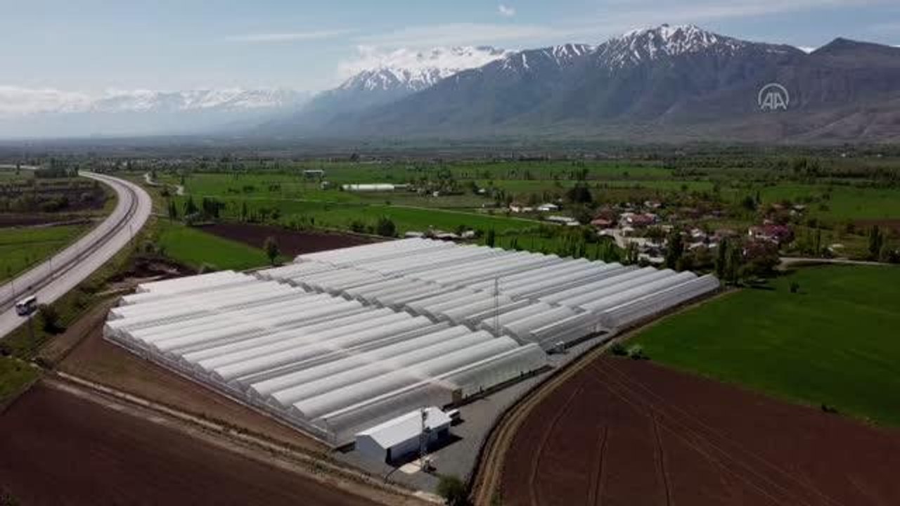 Devlet desteğiyle sera kuran ziraat mühendisi kardeşler tonlarca sebze üretiyor