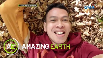 Amazing Earth: The fruit picker, Oliver Sam