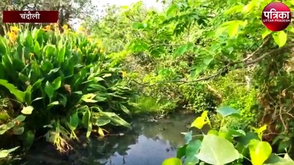 सरकारी स्कूल गन्दे नाले में हुआ तब्दील, अब इन नौनिहालों पर...