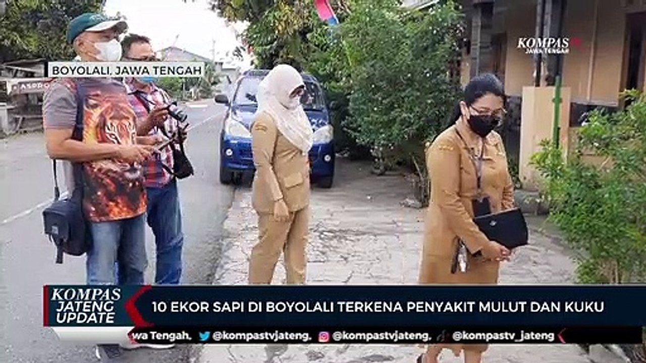 10 Ekor Sapi di Boyolali Terkena Penyakit Mulut dan Kuku