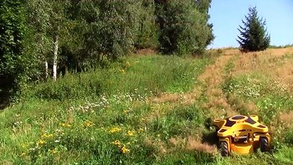 Uzaktan Kumandalı Mini Çim Biçeri - Mükemmel
