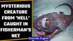 Bizarre fish with yellow protruding eyes caught by a Russian fisherman | OneIndia News