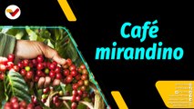 Al Aire | Café mirandino gana primer lugar en el Encuentro Internacional de Cafés de Especialidad Venezolano
