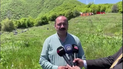 MİLLİ ARICILIK PROJESİ KAPSAMINDAKİ 200 KOVAN TALAN EDİLDİ, 4 MİLYONA YAKIN ARI ÖLDÜ -4