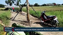 Bentuk Protes Jalan Rusak, Warga Tanam Pohon Pisang