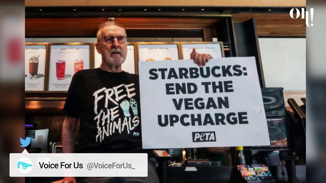 Aus Protest: James Cromwell klebt sich an Starbucks-Theke fest