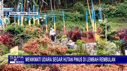 Lembah Rembulan, Tempat Healing  Terjangkau di Kawasan Guci