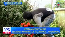 En San Juan del Río, Querétaro, se encuentra un “paraíso” de flores