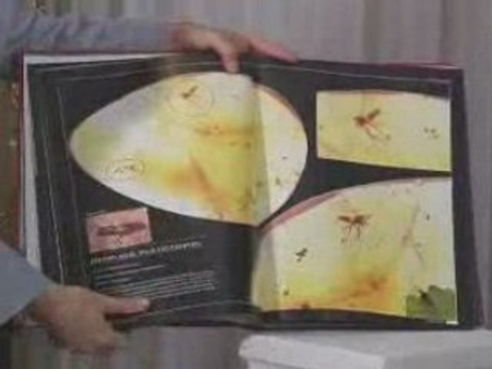 Les Fossiles Refutent La Theorie De L'evolutiın 2