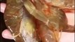 Quick Bites of Jumbo Shrimps # Shorts