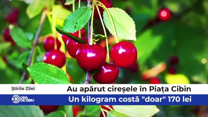 Știrile zilei la Sibiu - Au apărut cireșele în Piața Cibin - Un kilogram costă "doar" 170 lei, Transportul în Zona Metropolitană Sibiu va fi deservit de 36 de autobuze electrice şi Marcel Manea campion european la Culturism