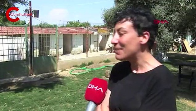 CAN BONOMO'NUN ABLASI, ÇİFTLİĞİNDE 165 KÖPEK VE 5 KEDİ İLE YAŞIYOR