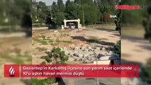 Hudut Karakoluna havan topu düştü: 4 asker yaralı