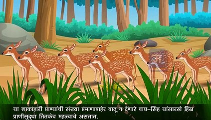 "दहावी परीक्षेची तयारी | विज्ञान आणि तंत्रज्ञान भाग 2 - परिसंस्था म्हणजे काय?