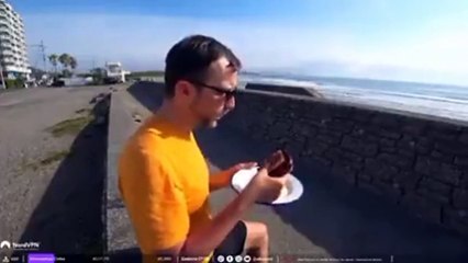 Un oiseau vient voler la nourriture en direct pendant un live